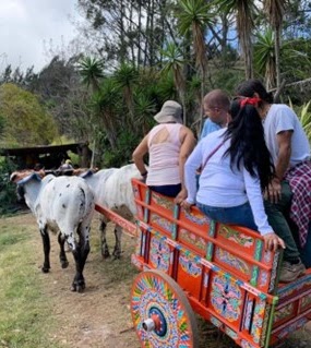 Tours y Actividades Culturales