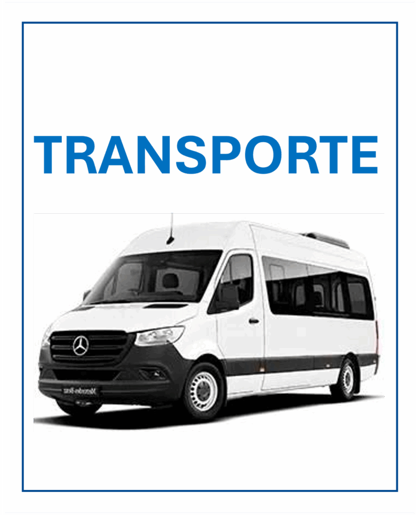 Transporte de Turismo